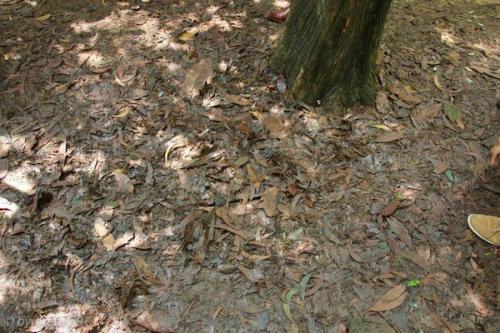 vn_september_15_00005